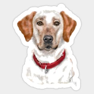 Pooch With a Red Collar Sticker